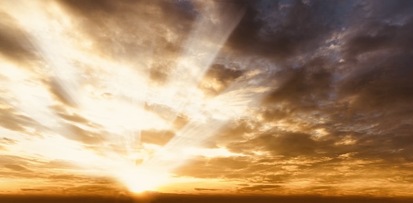 Bodhi of Peace and Awakening